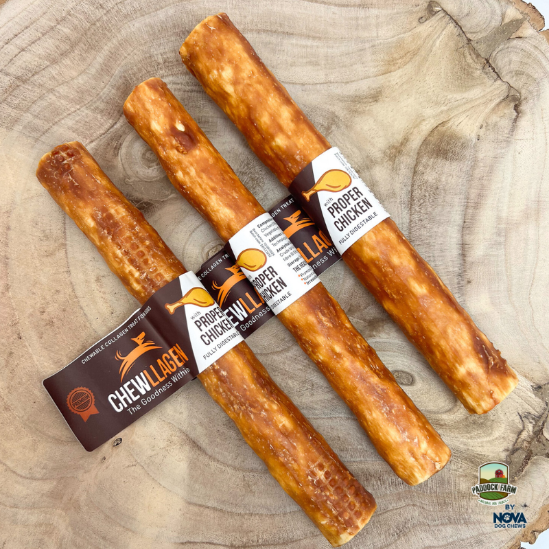 chewllagen roll 10"