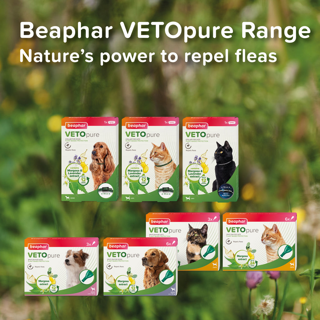 Beaphar VETOpure Cat Collar 35cm