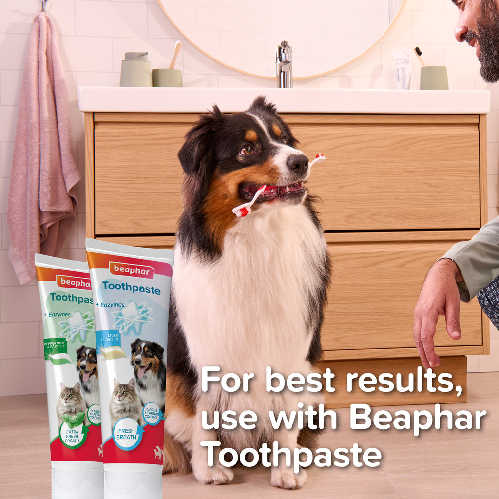 Beaphar Soft Finger Toothbrush for Cats and Dogs 2