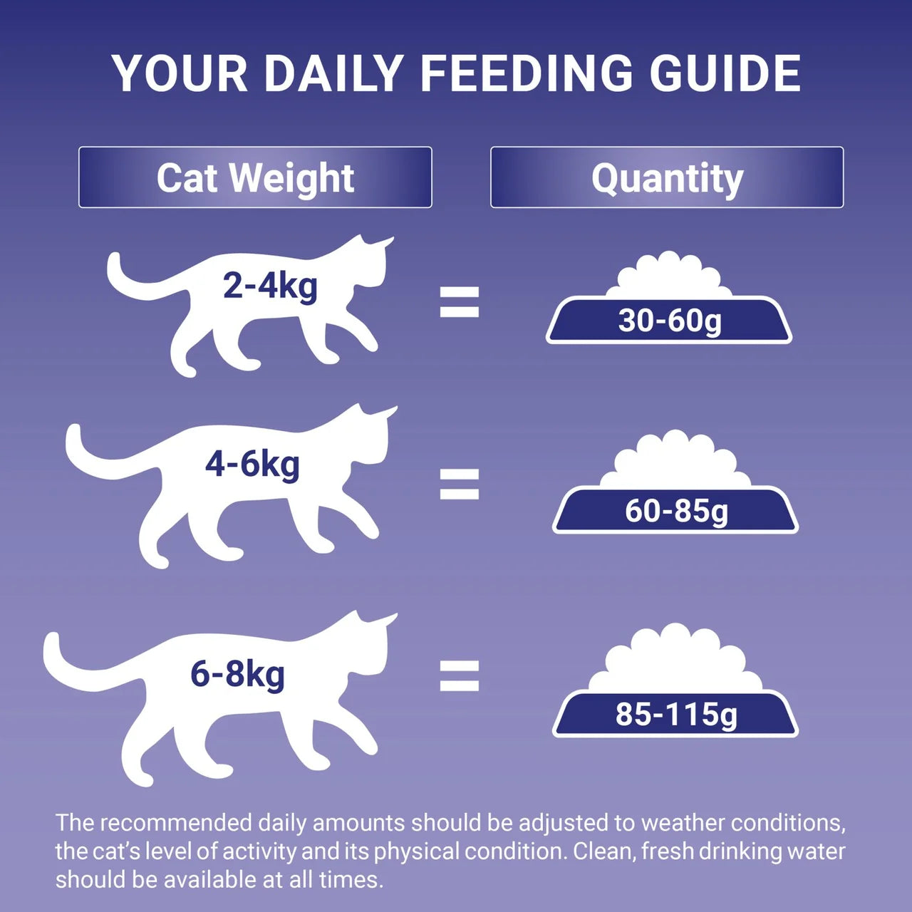 Purina One Chicken Dry Cat Food 800g