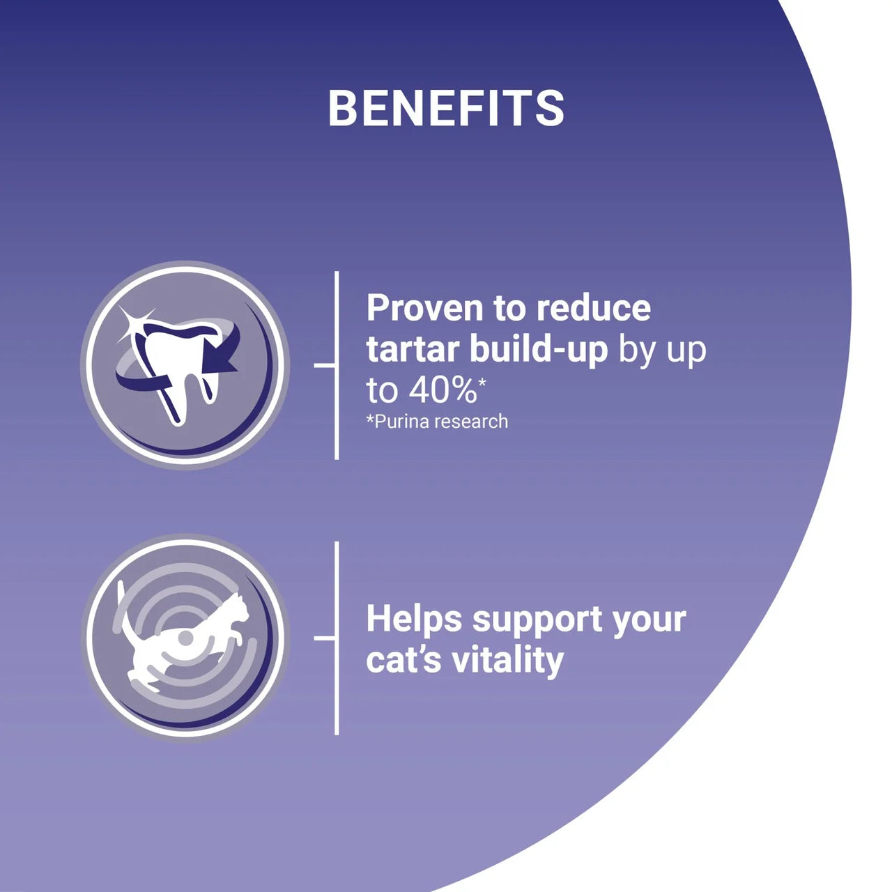 Purina One Chicken Dry Cat Food 800g
