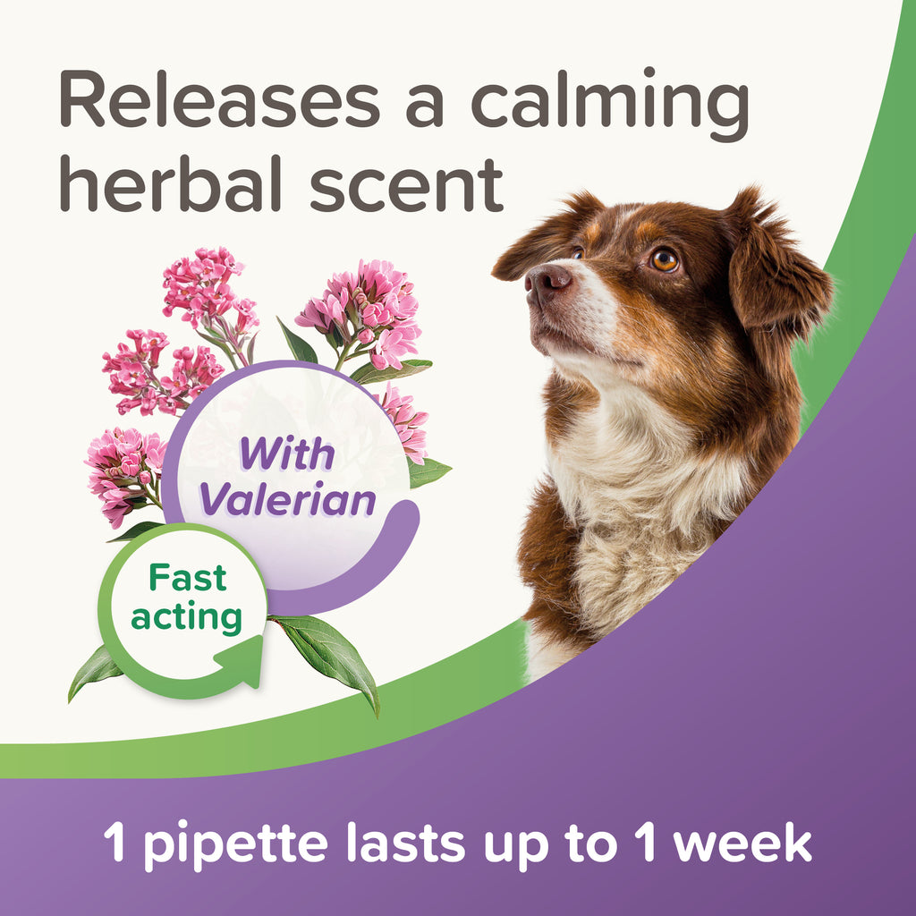 Beaphar StressLess Calming Spot On Dog (3 Vials) S