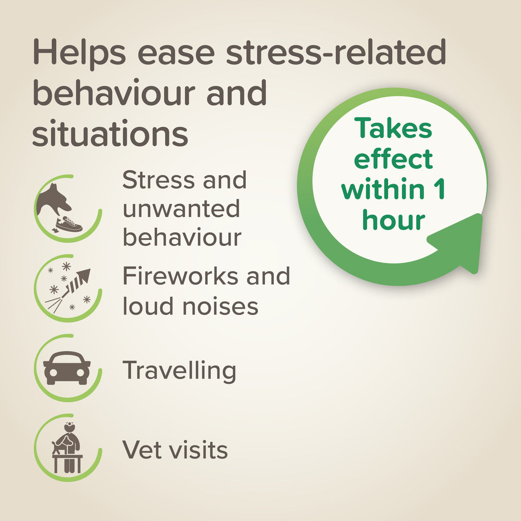 Beaphar StressLess Calming Spot On Dog (3 Vials) S