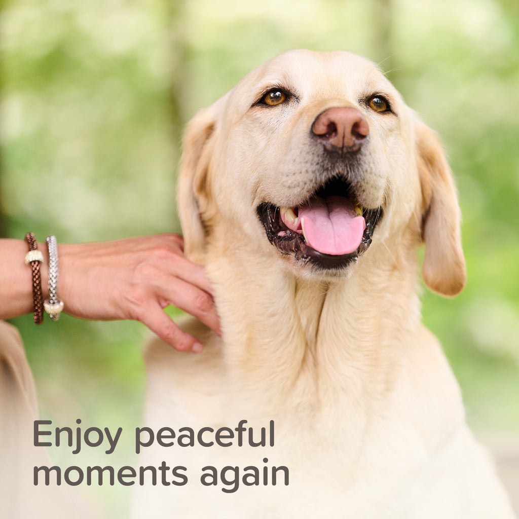 Beaphar StressLess Calming Spot On Dog (3 Vials) S