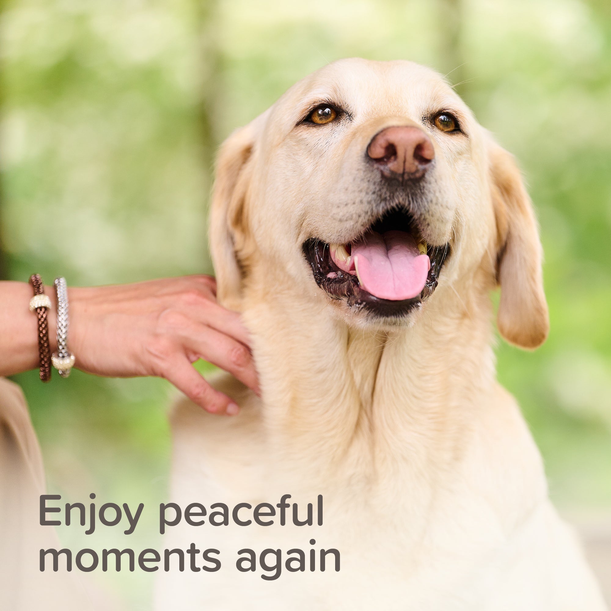 Beaphar StressLess Calming Spot On Dog (3 Vials) S