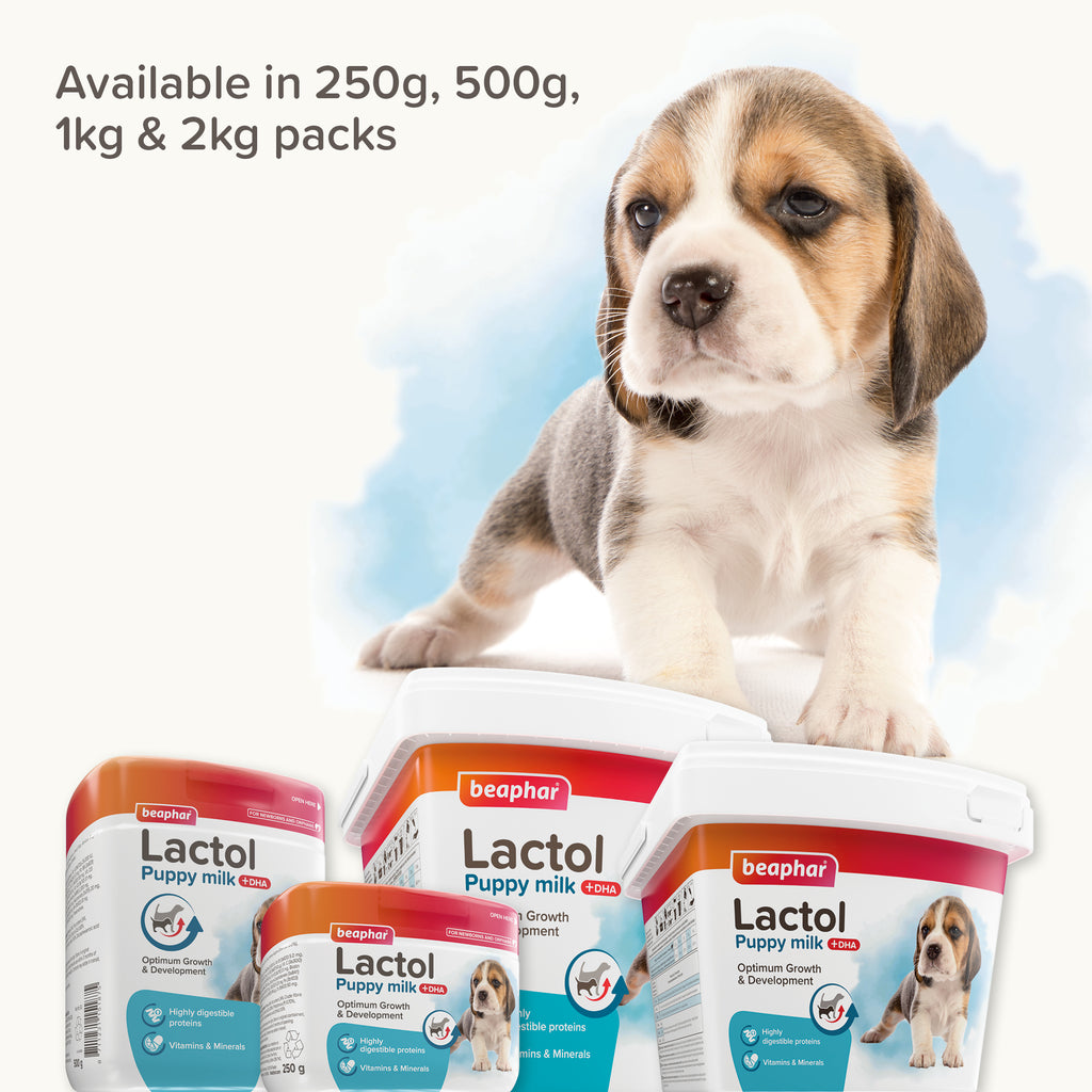 Beaphar Lactol Puppy Milk 1kg
