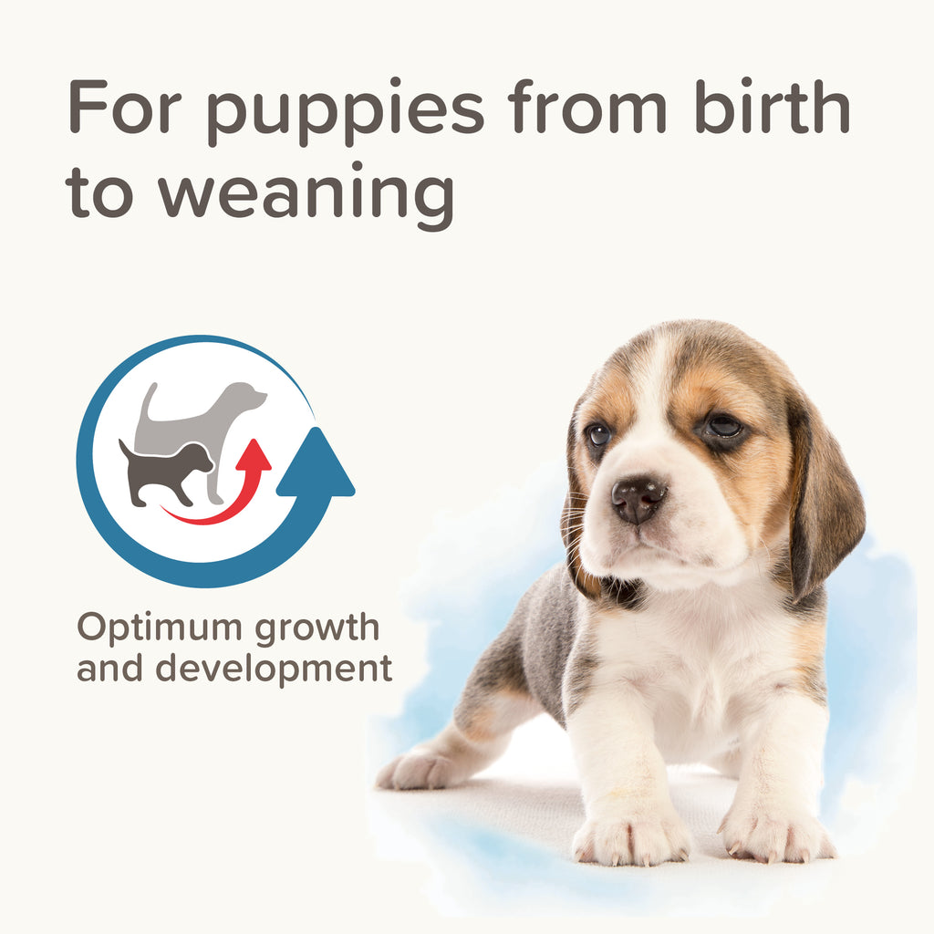 Beaphar Lactol Puppy Milk 1kg