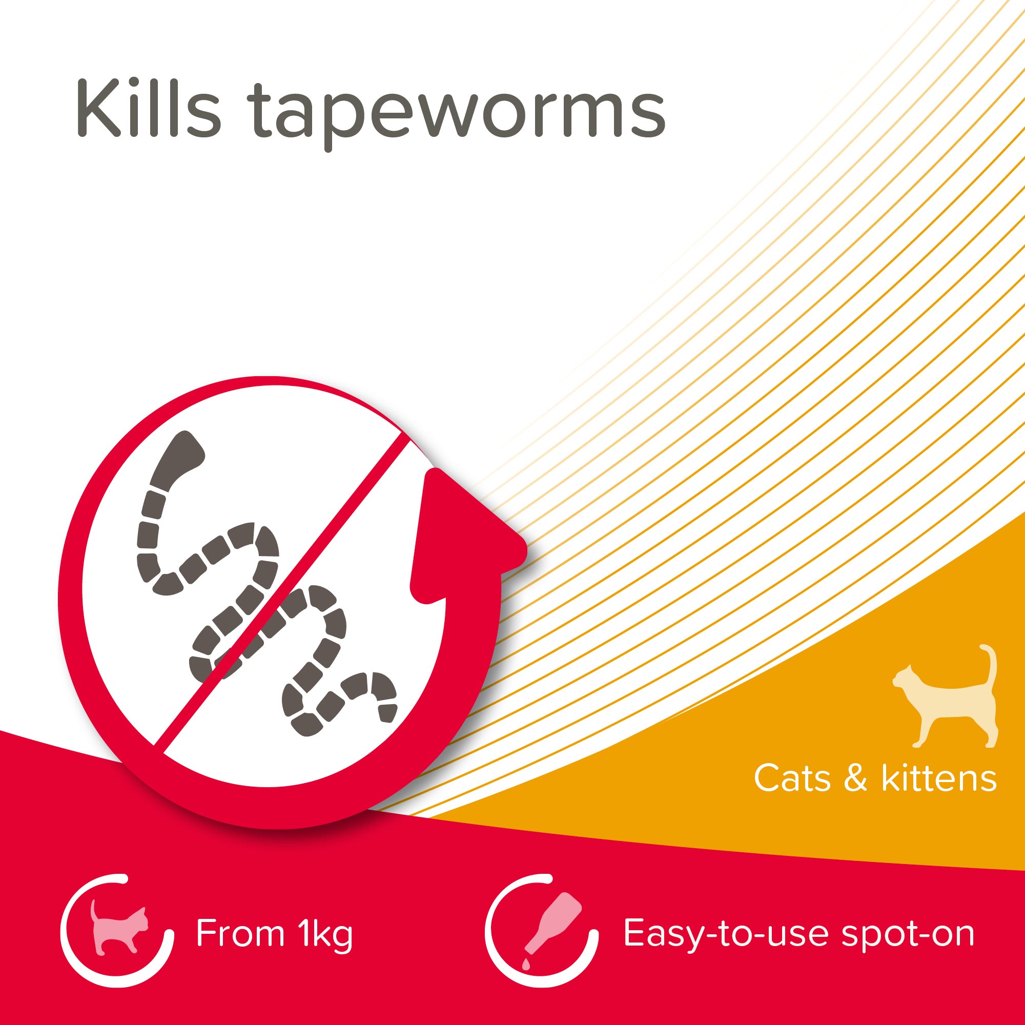 Beaphar WORMclear Spot-On for Cats - 2 tubes