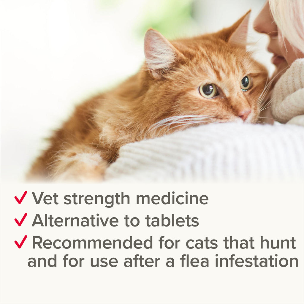 Beaphar WORMclear Spot-On for Cats - 2 tubes
