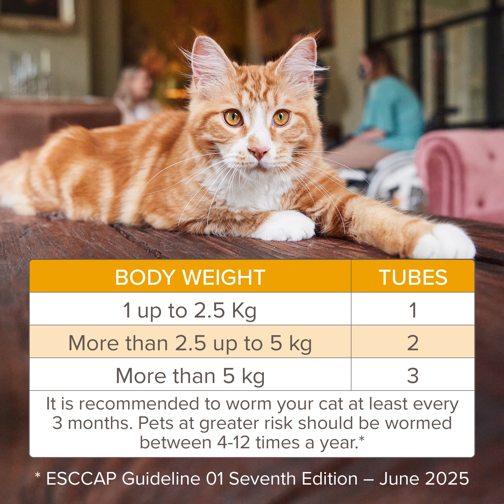 Beaphar WORMclear Spot-On for Cats - 2 tubes