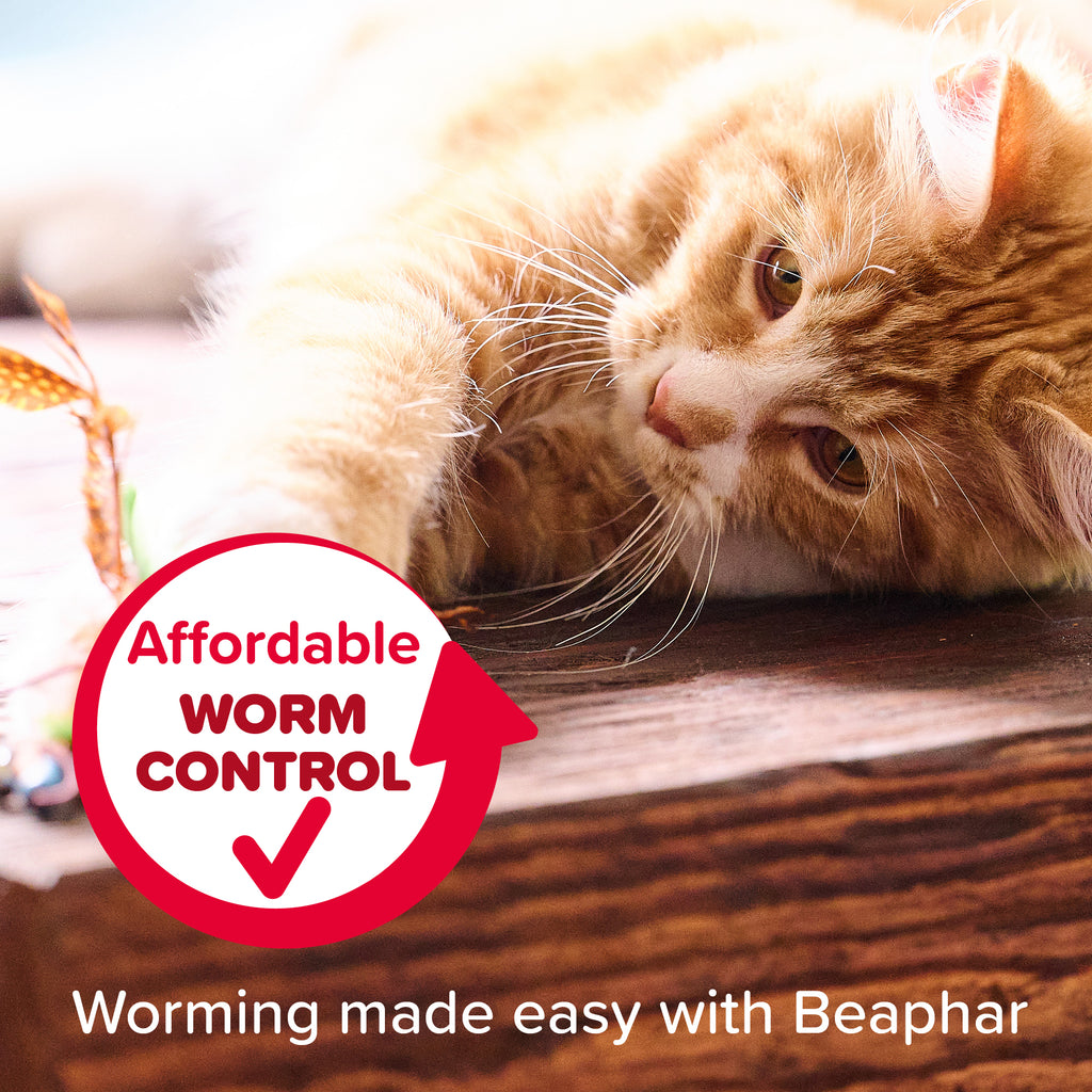 Beaphar WORMclear Spot-On for Cats - 2 tubes
