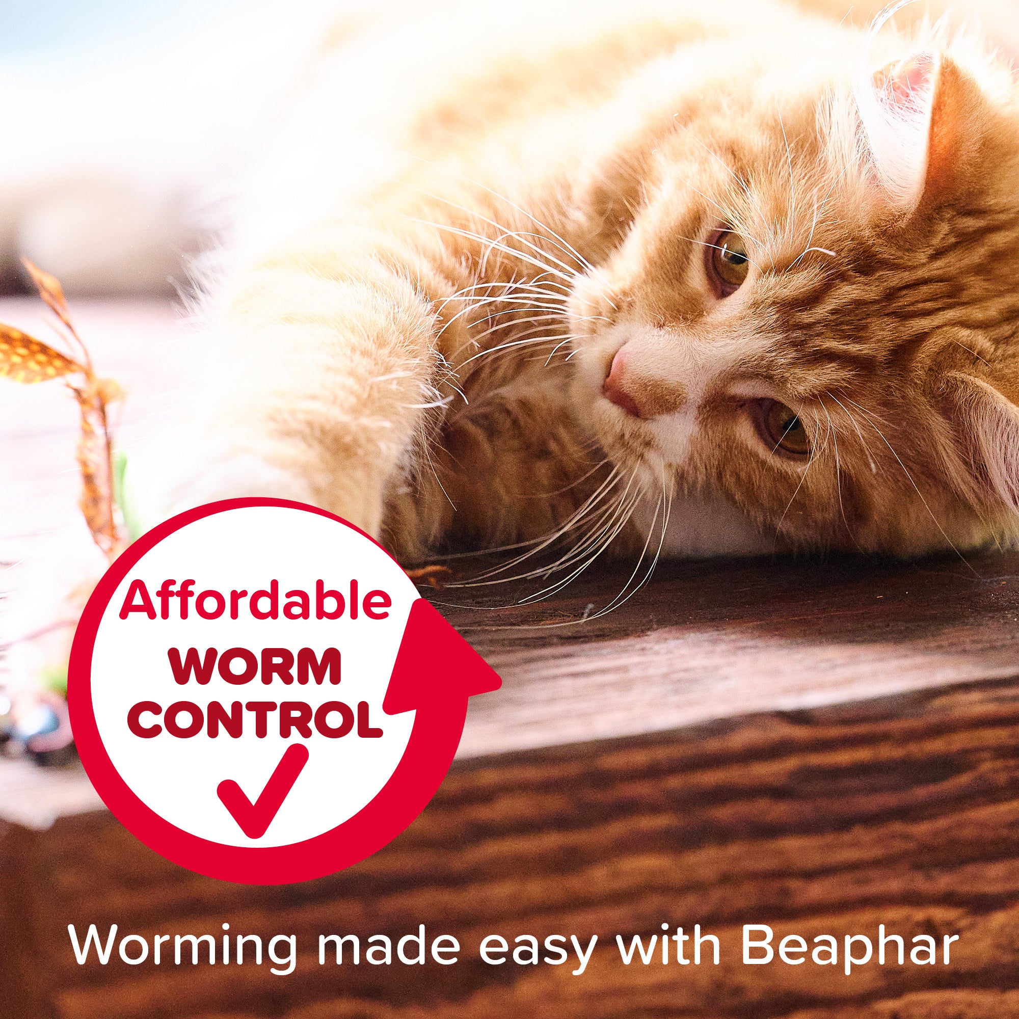 Beaphar WORMclear Spot-On for Cats - 2 tubes