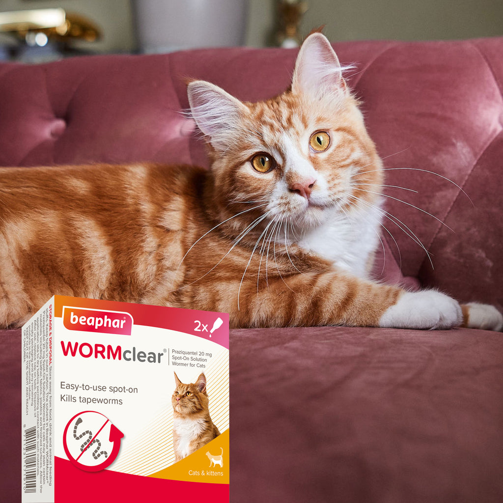 Beaphar WORMclear Spot-On for Cats - 2 tubes
