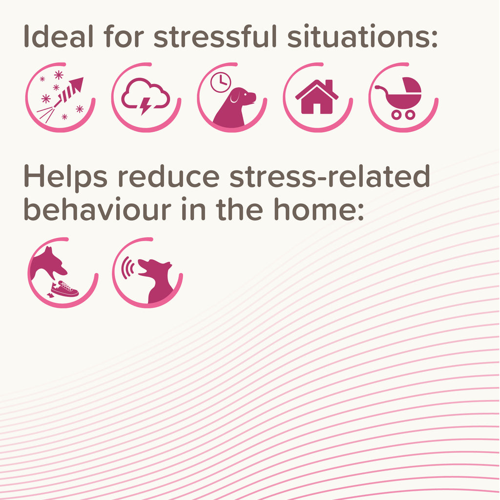 Beaphar CaniComfort Calming Diffuser 48ml