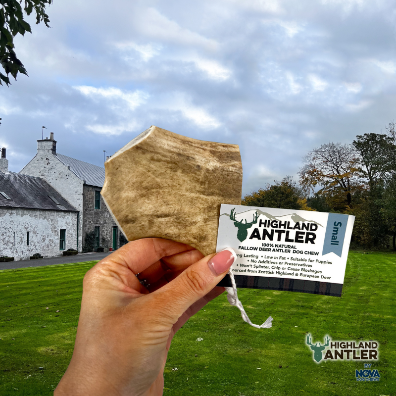 Highland Antler Small (Under 75g)