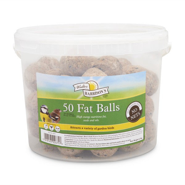 Fat Balls