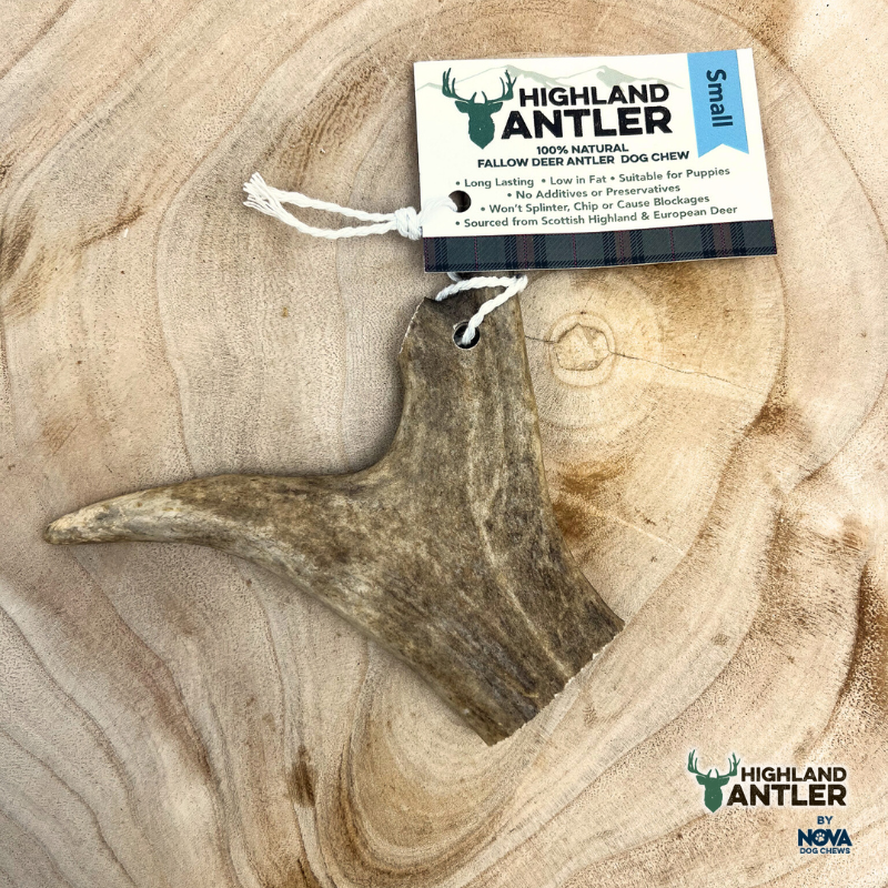 Highland Antler Small (Under 75g)