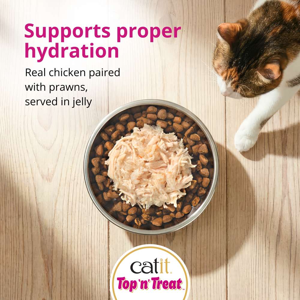 Catit Top N Treat Chicken & Prawns 3x60g