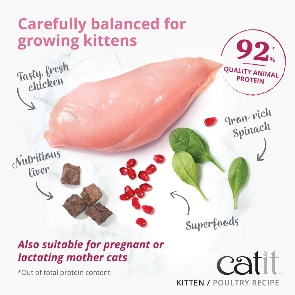 Catit Recipes Dry Kitten Poultry 400g