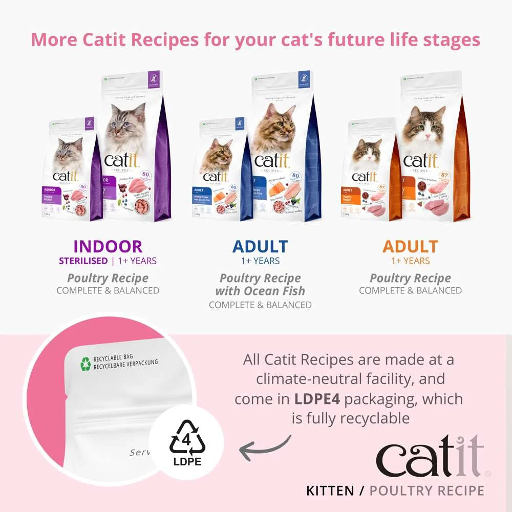 Catit Recipes Dry Kitten Poultry 400g