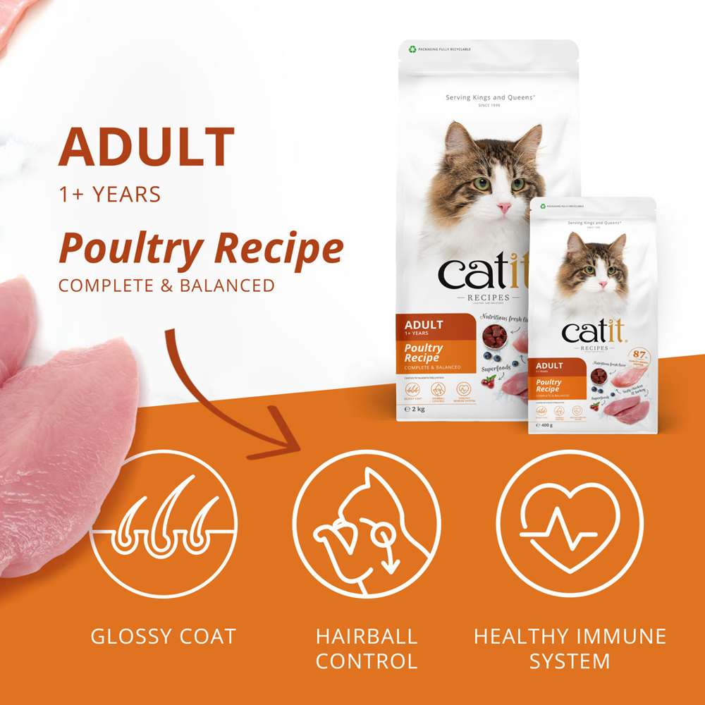Catit Recipes Dry Adult Poultry 2kg