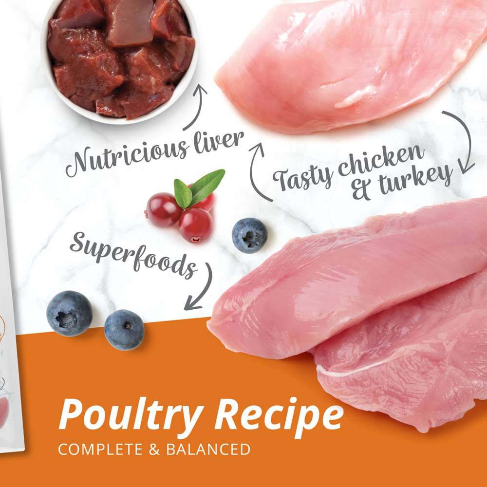 Catit Recipes Dry Adult Poultry 2kg