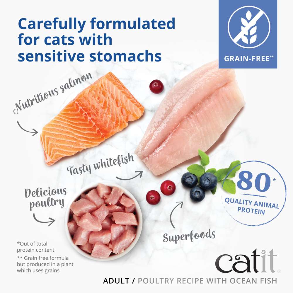 Catit Recipe Dry Adult Oceanfish 400g
