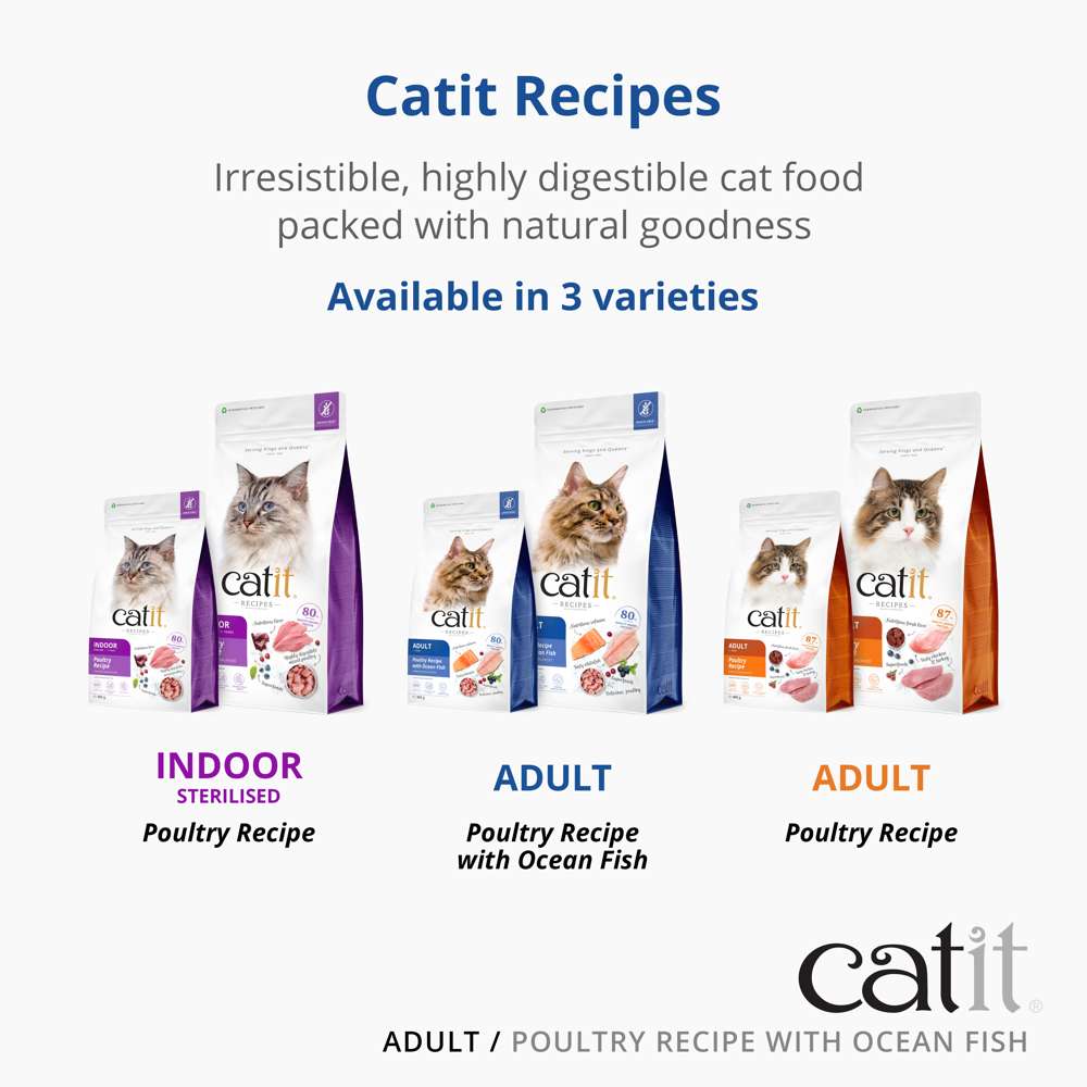 Catit Recipe Dry Adult Oceanfish 2kg