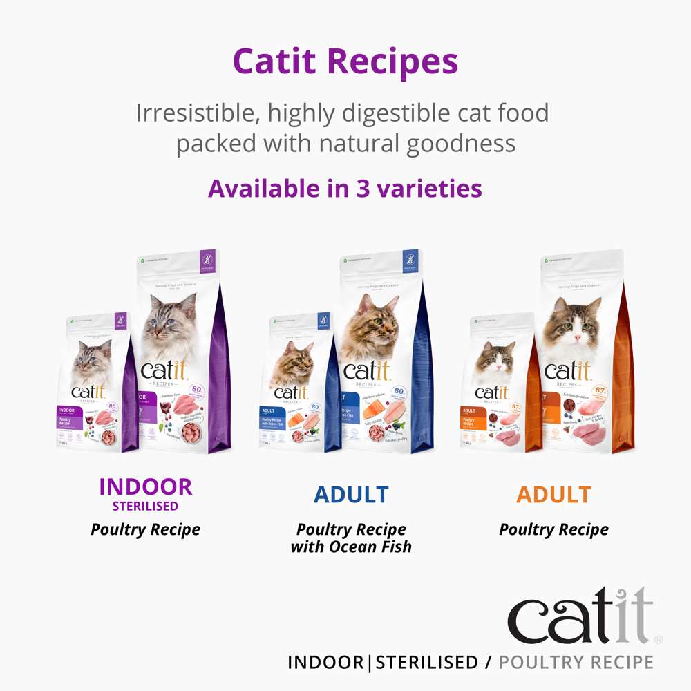 Catit Recipes Dry Adult Indoor 400g