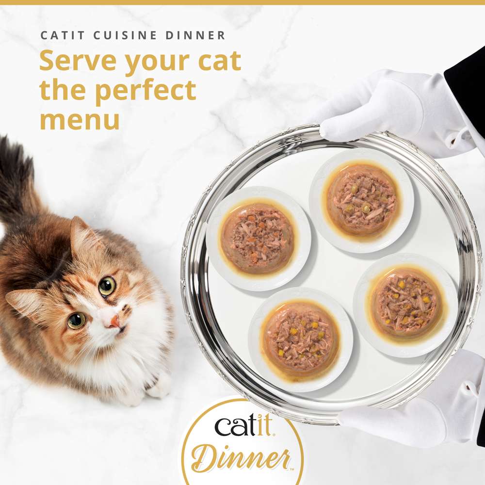 Catit Fish Dinner with Salmon 75g