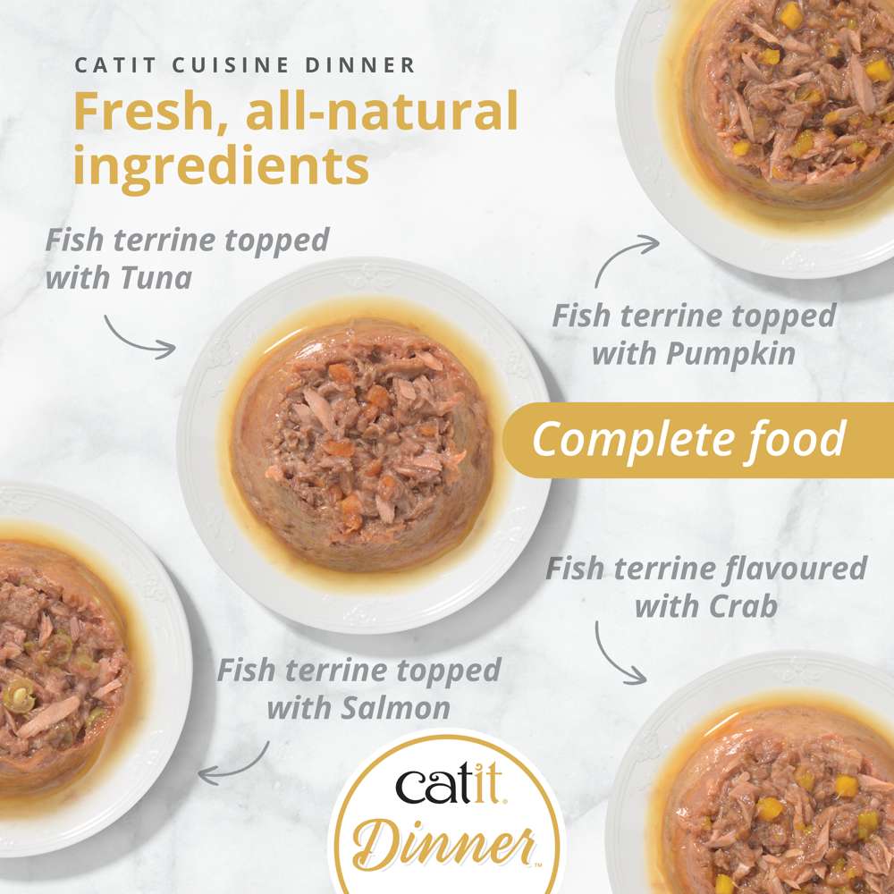 Catit Fish Dinner with Salmon 75g