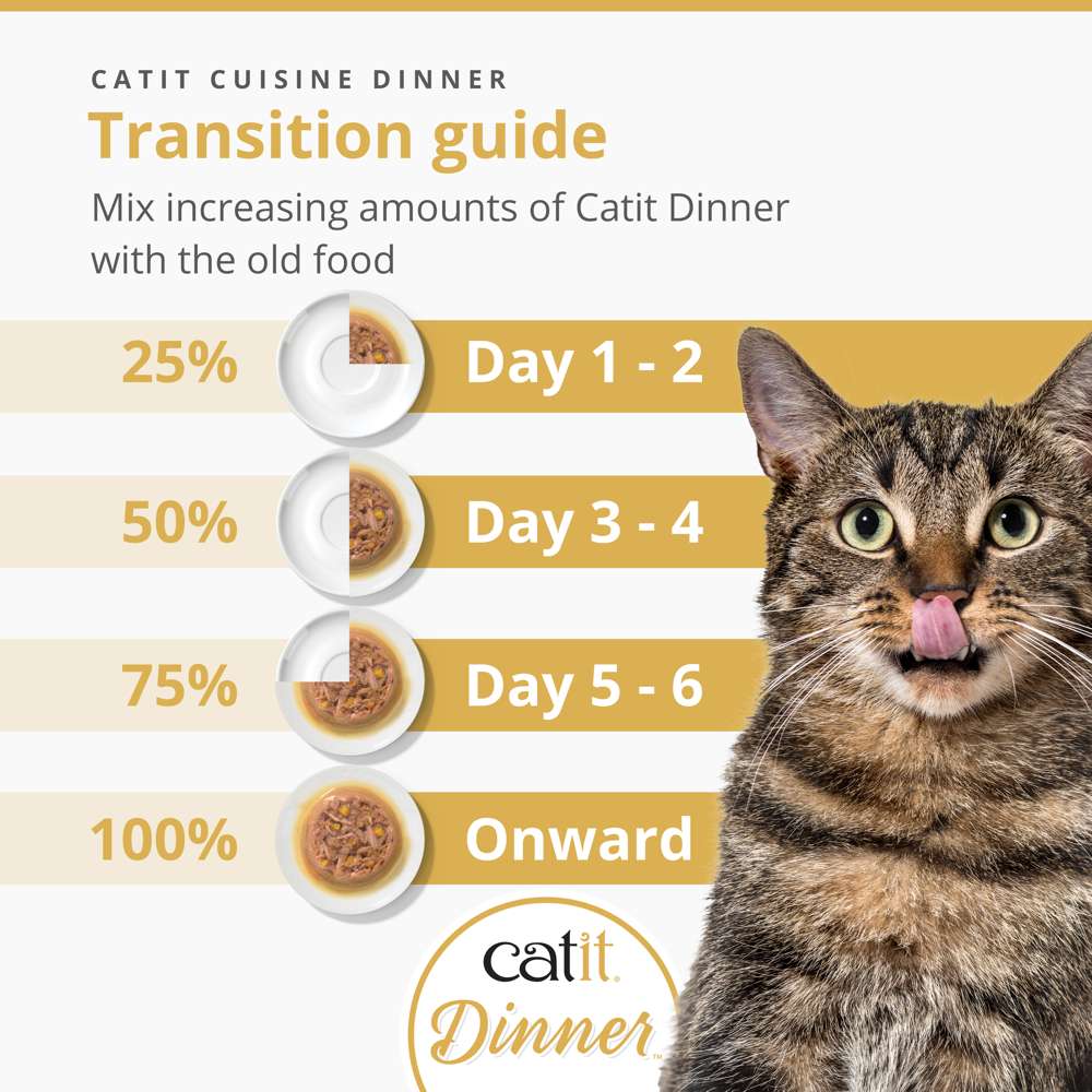Catit Fish Dinner with Salmon 75g