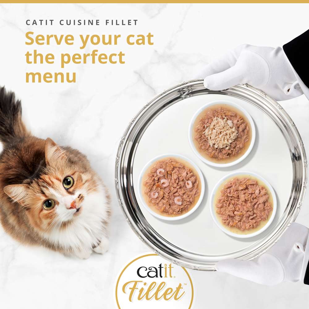 Catit Tuna Fillet 75g