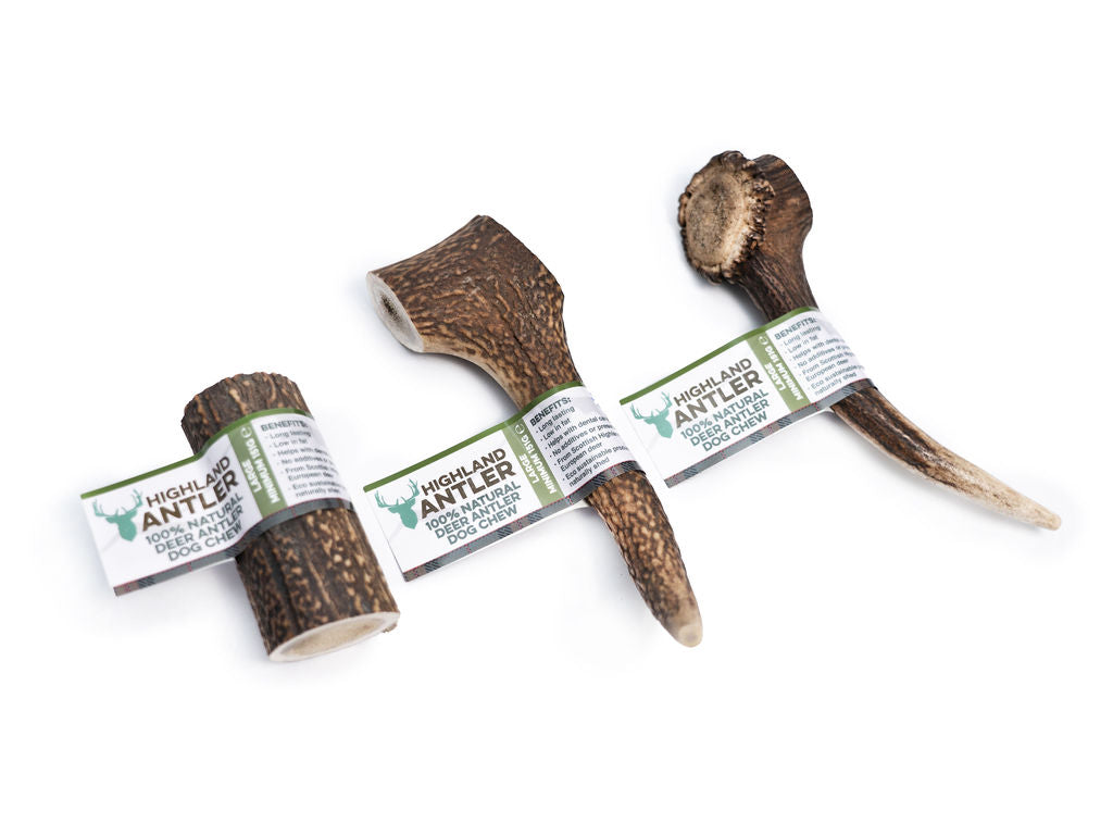 highland antler LARGE