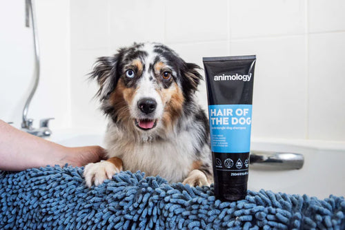 Animology Hair Of The Dog Anti Tangle Shampoo 250m