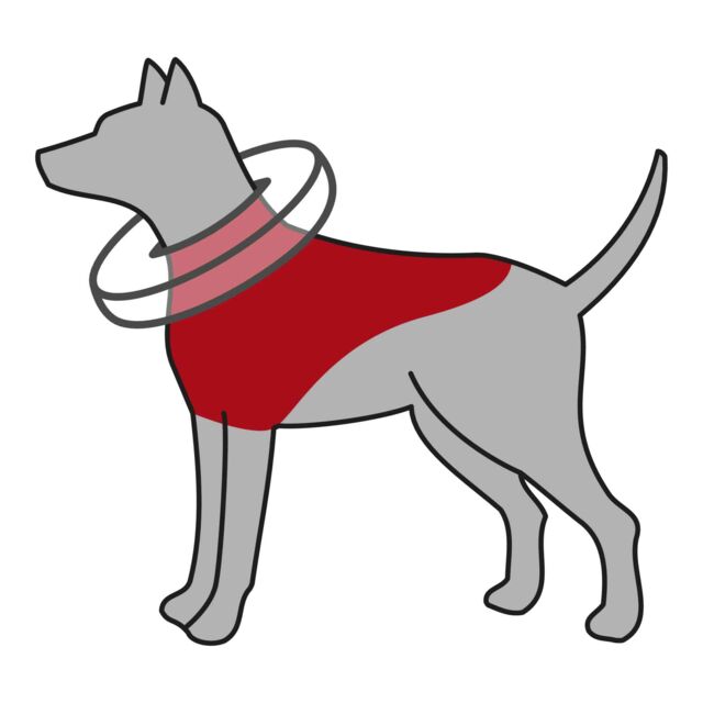 Protective Collar, inflatable XS 20cm - 24cm