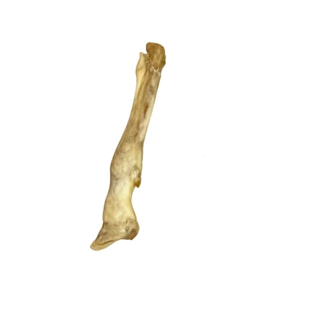 Lamb Leg