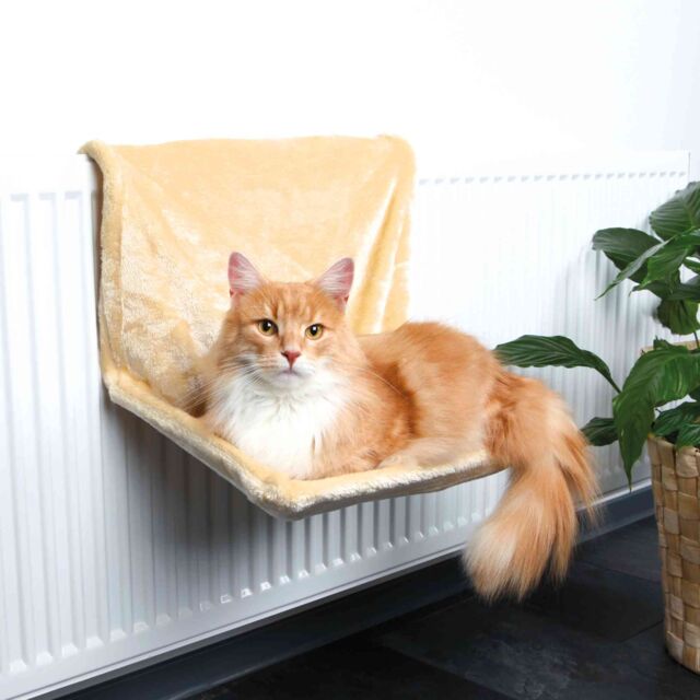 Radiator Bed