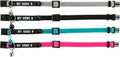Cat Collar with Address Tag