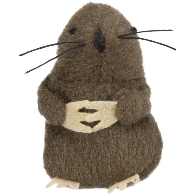 Mole Toy
