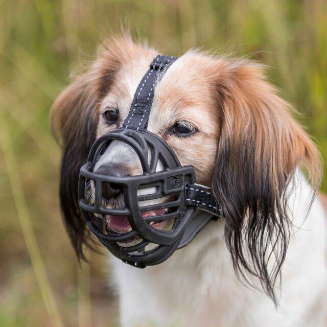 Muzzle Muzzle Flex L-XL 35cm