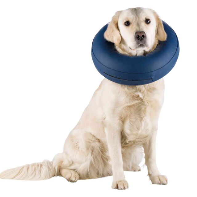 Protective Collar, inflatable M-L 45cm - 57cm