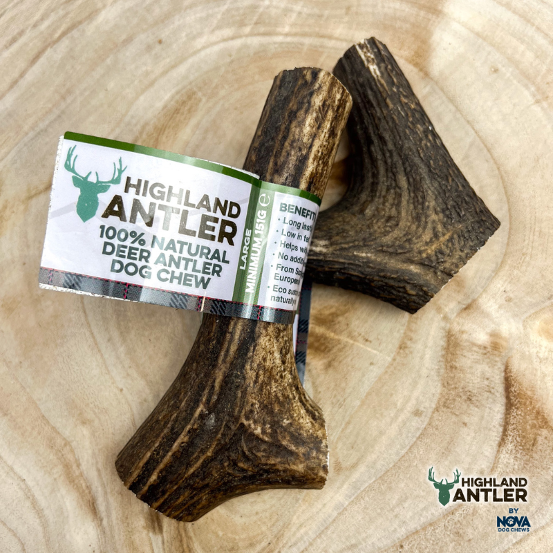 highland antler LARGE