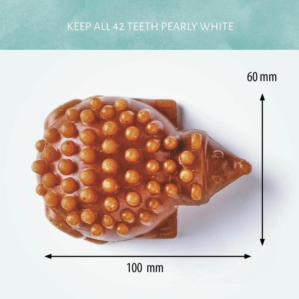 Hedgehog Chews Large