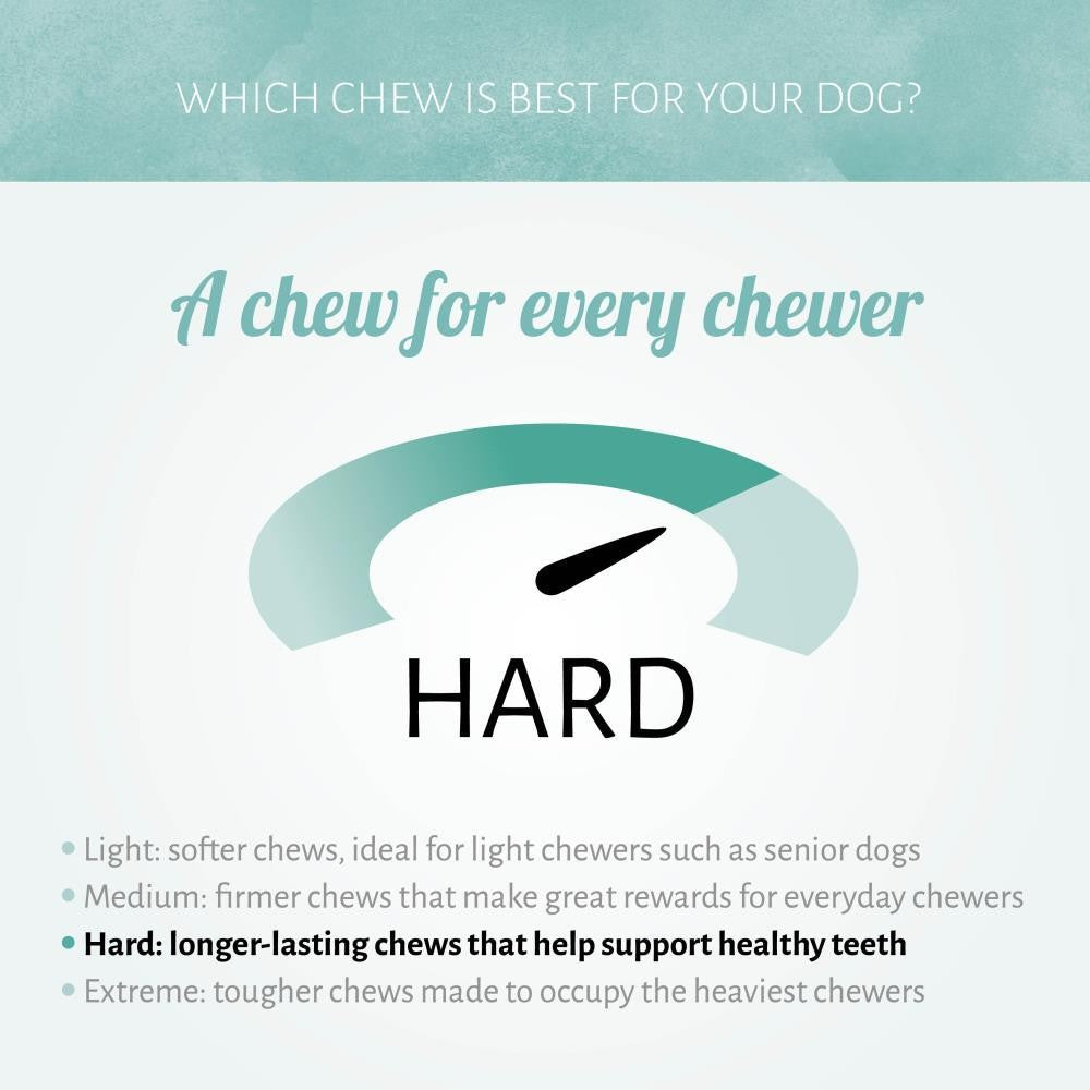 Hedgehog Chews Large
