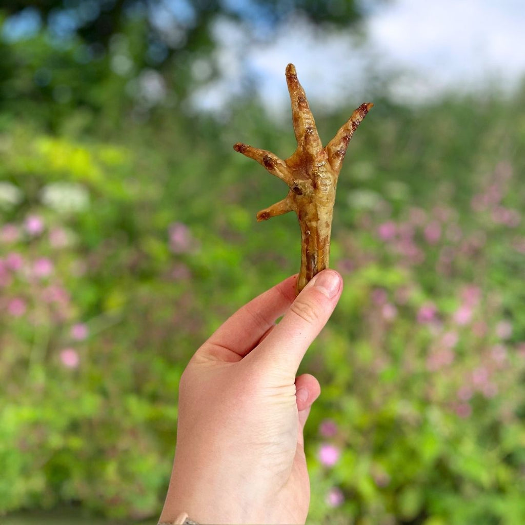 Chicken feet