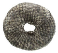 Dental fish rings