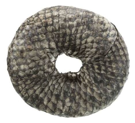 Dental fish rings