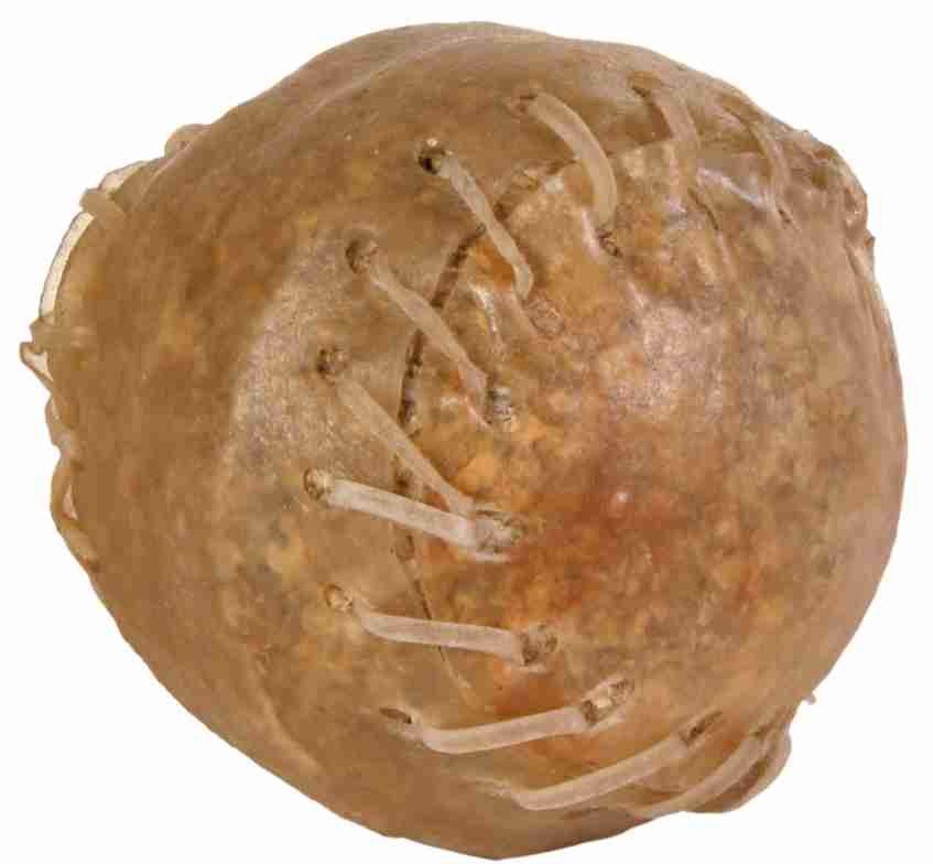 Hide & munchy ball